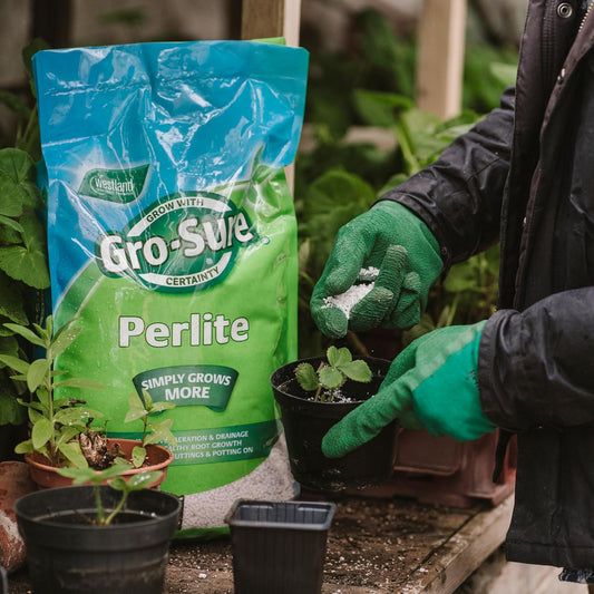 Gro-Sure Perlite 10L - for Improved Aeration and Drainage