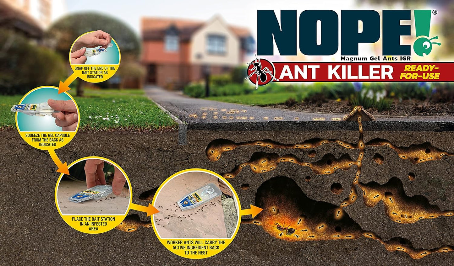 Ant Killer Bait Station (6 X 5G) Indoor & Outdoor Ant Traps. Eradicates Ants and Their Colony & Nest