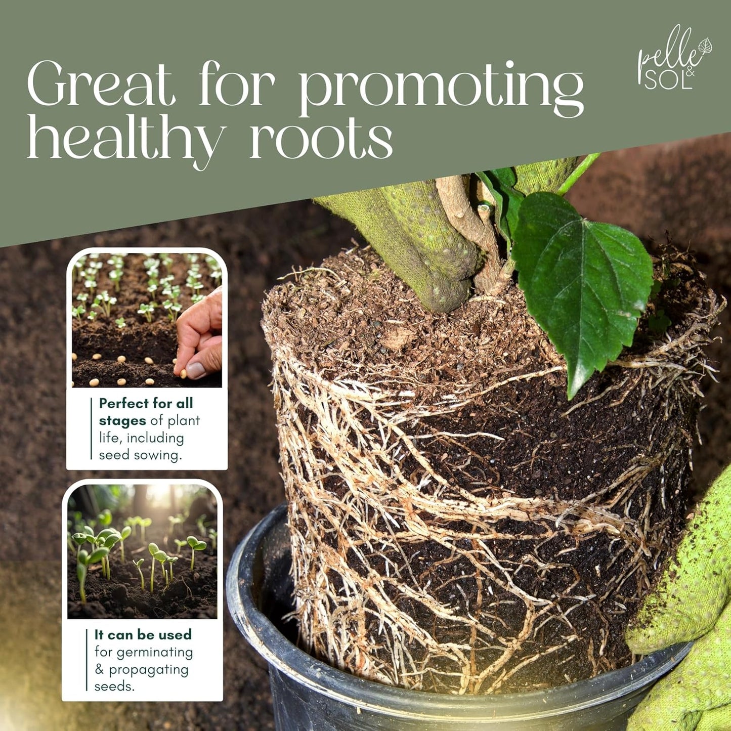 120L Multi Purpose Compost - Compost for Outdoor Plants & Soil for Plants Indoors - Potting Soil for Pots Plants Outdoor - All Purpose Nutrient Rich Fertiliser, Houseplant Potting Mix