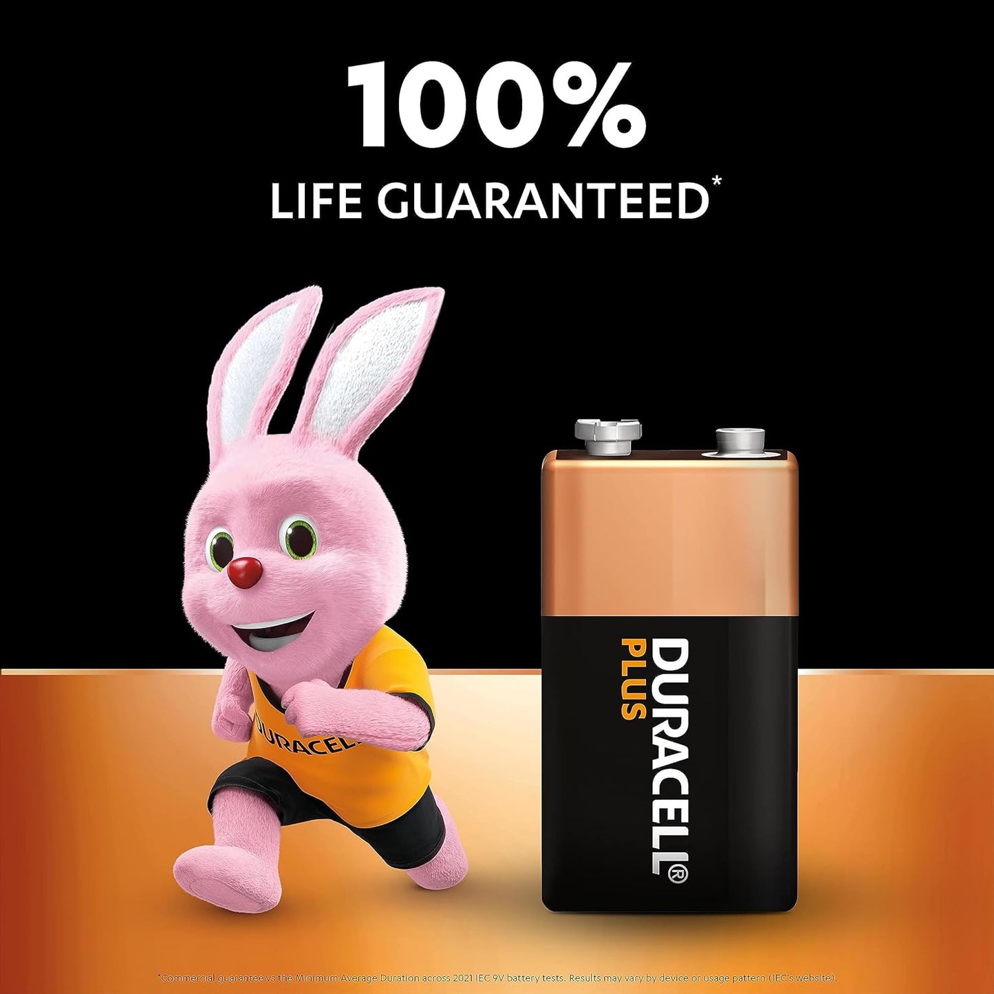 plus 9V Batteries (2 Pack) - Alkaline - 100% Life Guaranteed - Reliability for Everyday Devices - 0% Plastic Packaging - 5-Year Storage - 6LR61 MN1604