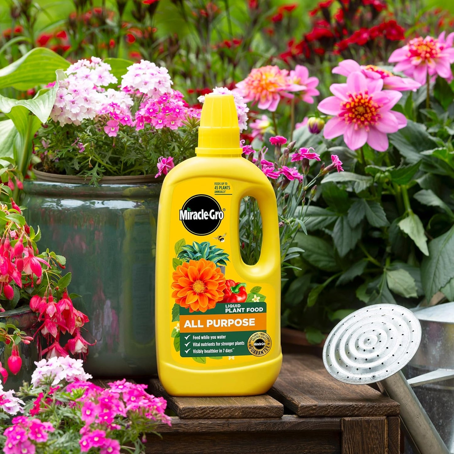 Miracle Gro All Purpose Concentrated Liquid Plant Food, 800Ml