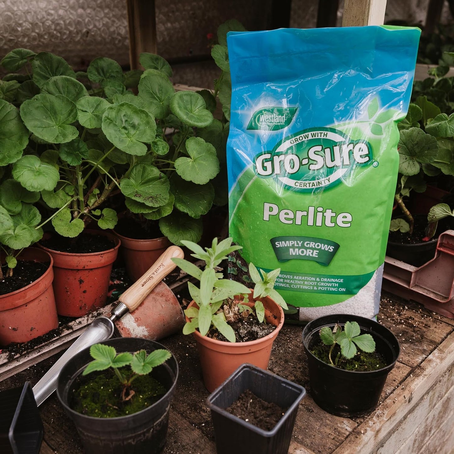 Gro-Sure Perlite 10L - for Improved Aeration and Drainage