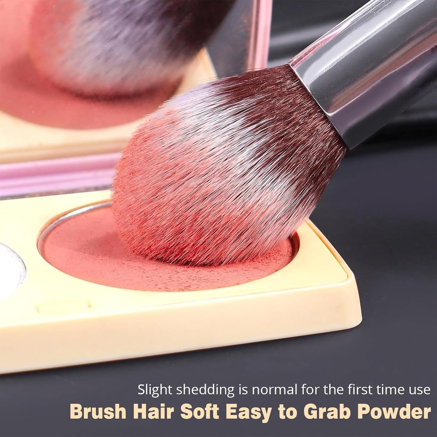 Diversity Makeup Brushes 12 Pcs Makeup Kit, Premium Synthetic Kabuki Foundation Face Powder Concealer Eyeshadow Blush Set, with 2 Pcs Blender Sponges (Black/Silver)