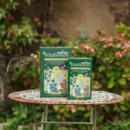 Easy Wildflower 1.2Kg Box
