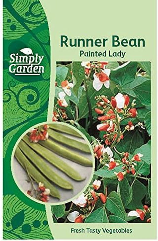 Runner Bean Painted Lady Fresh Vegetable Seeds Grow Your Own Garden