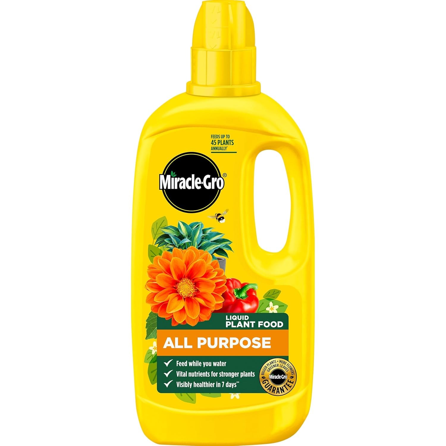 Miracle Gro All Purpose Concentrated Liquid Plant Food, 800Ml