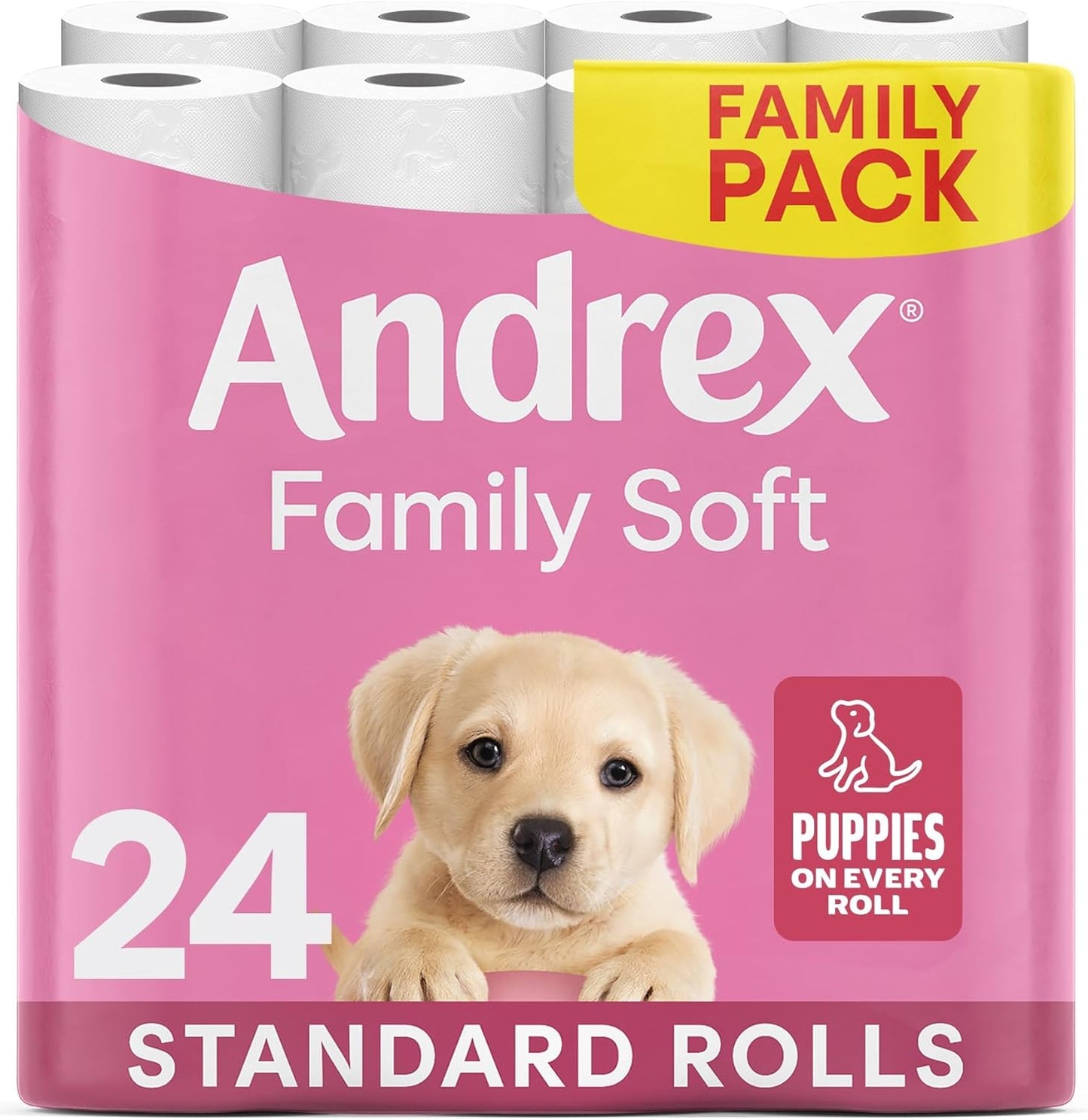 Family Soft Toilet Paper 24 Rolls (Previously  Gentle Clean) Gentle on Your Family’S Skin– Pack of 24 Toilet Rolls, 170 Sheets per Roll, FSC Certified