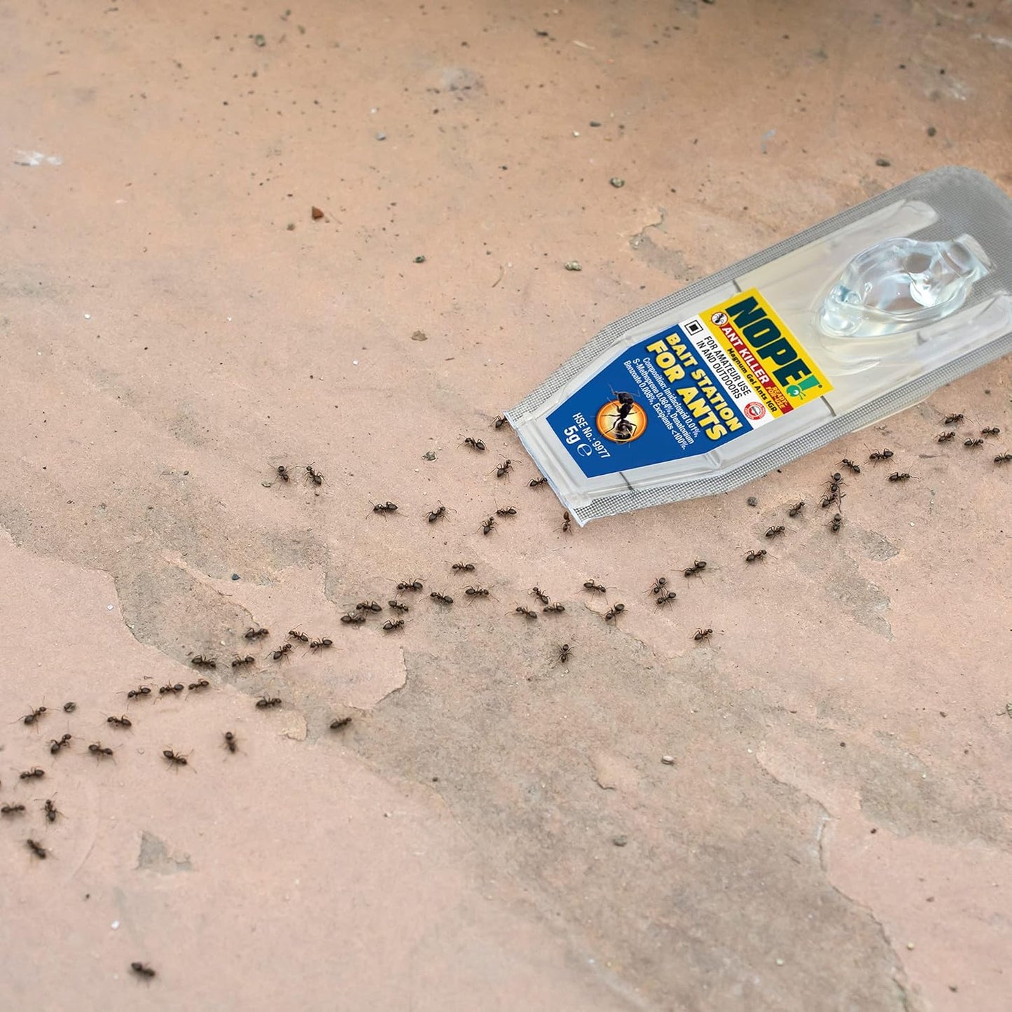 Ant Killer Bait Station (6 X 5G) Indoor & Outdoor Ant Traps. Eradicates Ants and Their Colony & Nest