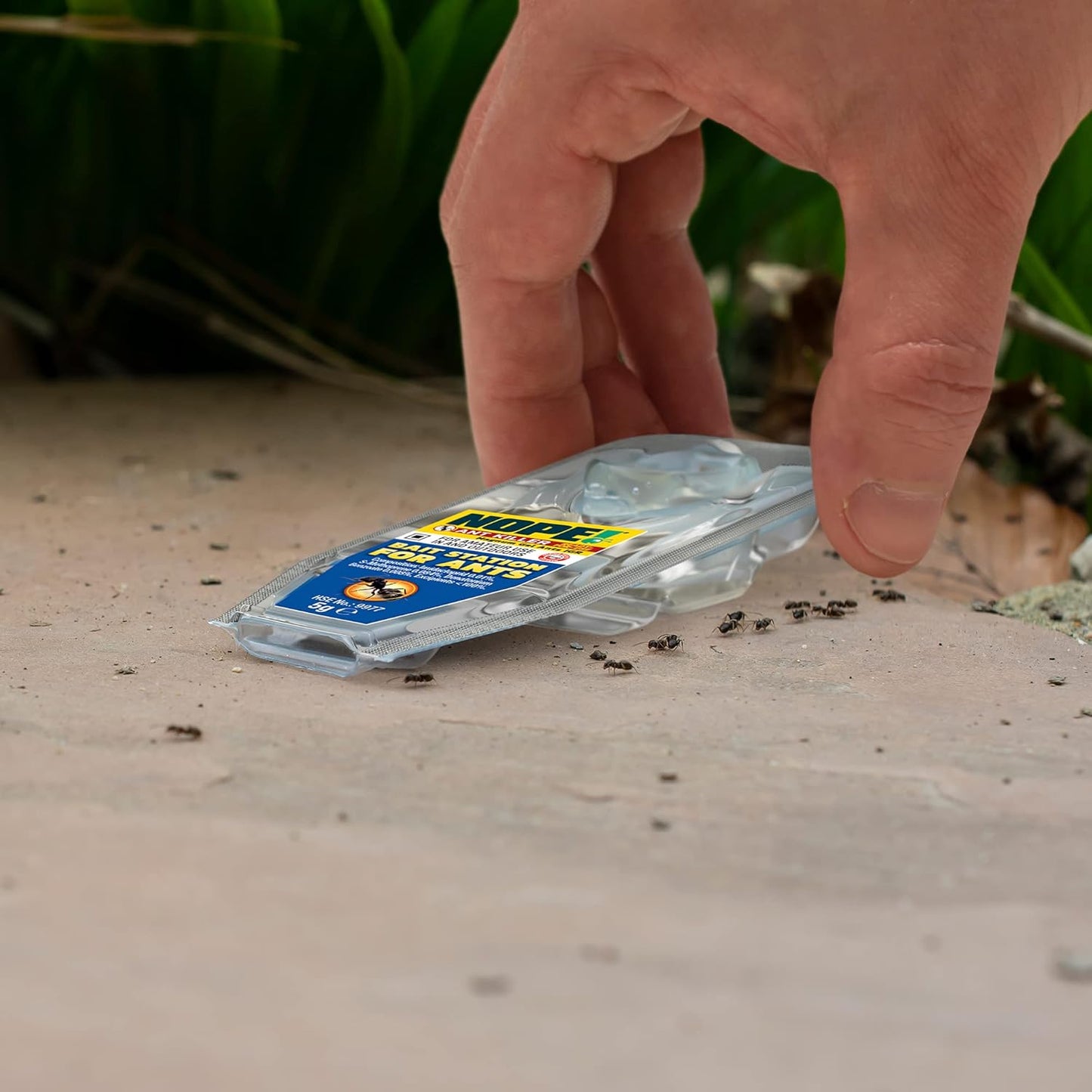 Ant Killer Bait Station (6 X 5G) Indoor & Outdoor Ant Traps. Eradicates Ants and Their Colony & Nest
