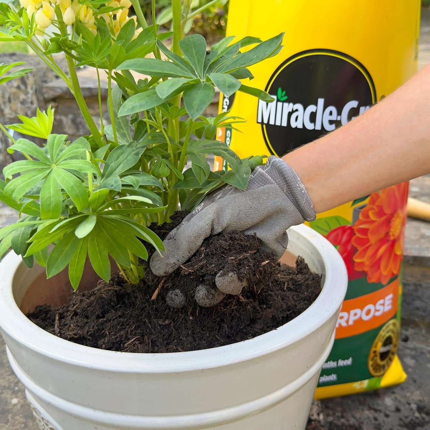 Peat-Free Premium All Purpose Compost 52L, Multi-Purpose Garden Soil Mix for Pots, Containers, Hanging Baskets & Outdoor Plants