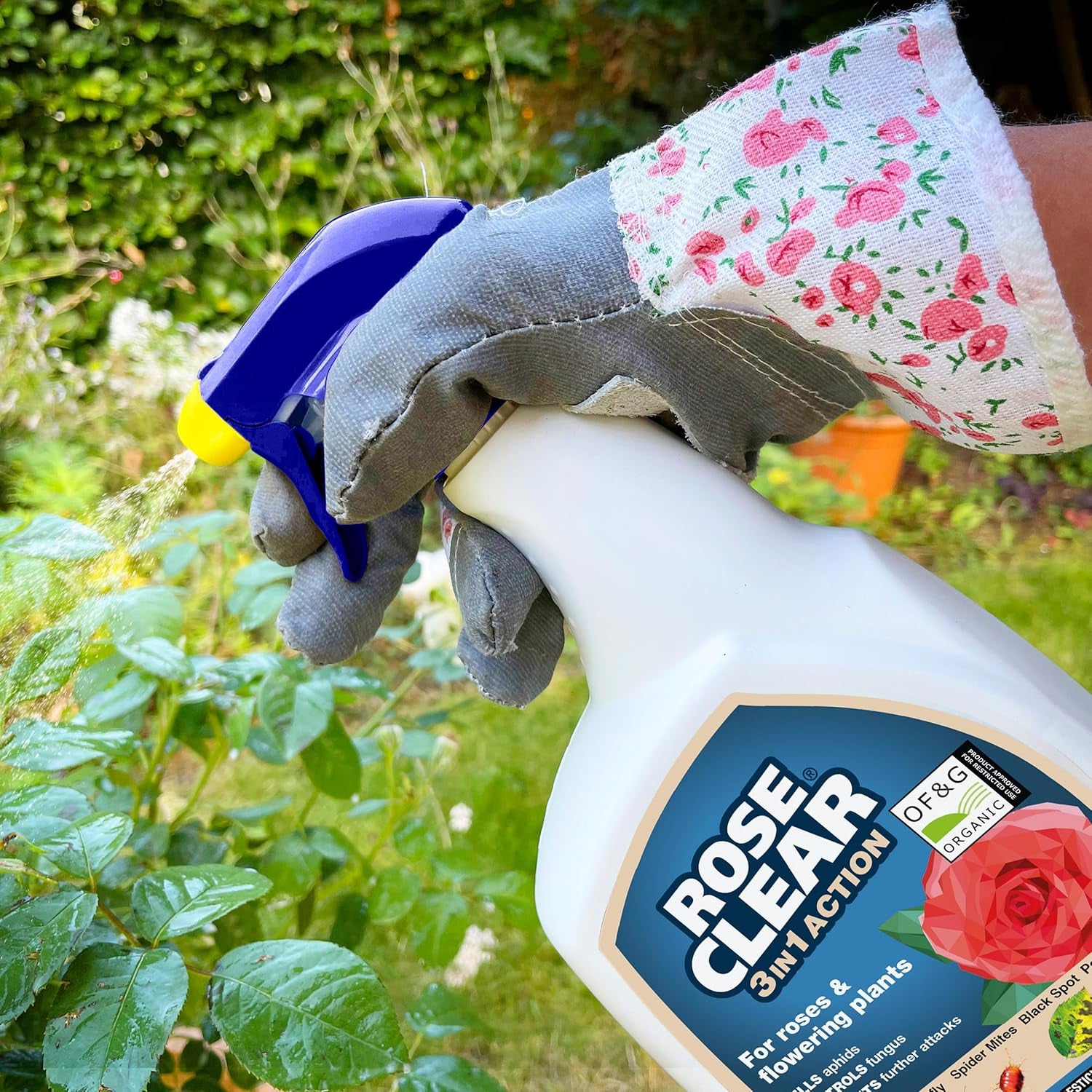 ROSE 3 in 1 Ready to Use Plant Protection for Aphids, 800 Ml, White