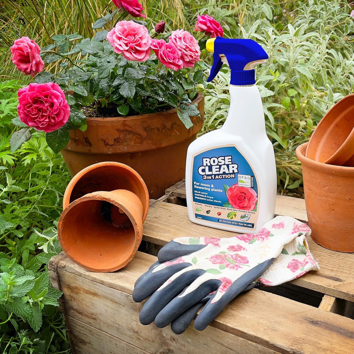 ROSE 3 in 1 Ready to Use Plant Protection for Aphids, 800 Ml, White